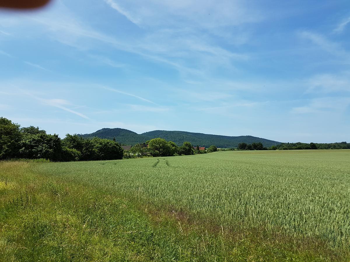 La Fontana Hotel Langelsheim Eksteriør billede